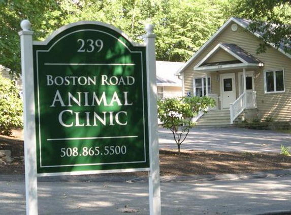 Boston Road Animal Clinic - Sutton, MA