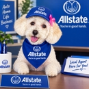 EMAN HASSANIN: Allstate Insurance - Insurance Consultants & Analysts