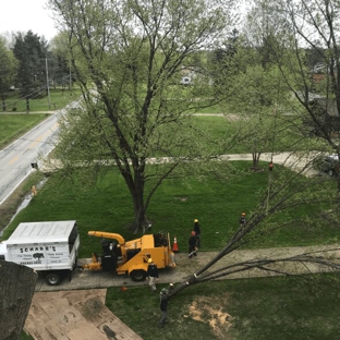 Schades Tree Service - North Royalton, OH
