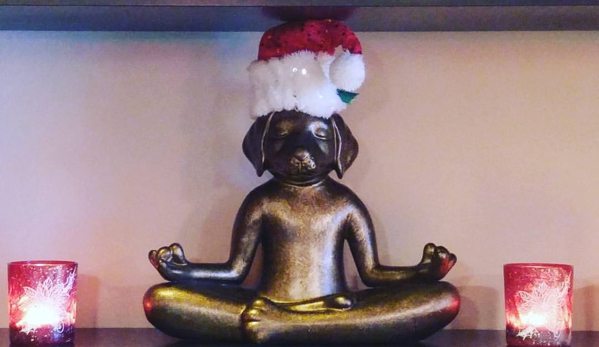 Black Dog Yoga - Sherman Oaks, CA