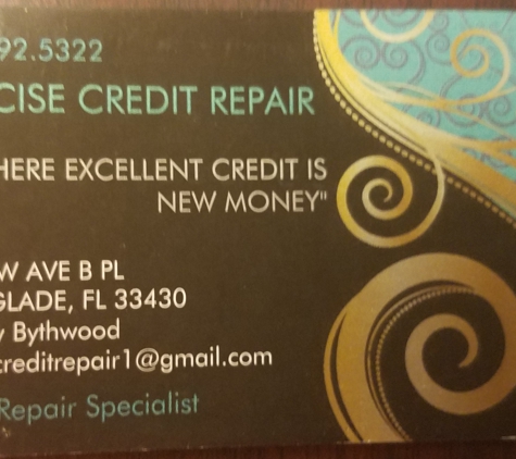 precise credit repair - Belle Glade, FL