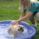 Best Friends Pet Care - Pet Boarding & Kennels