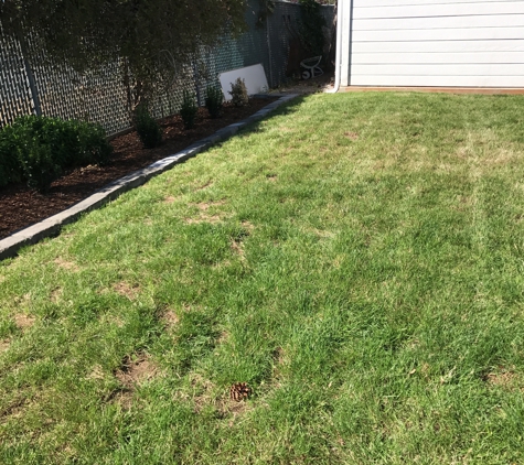 Clean Cut Landscape & Design - Lynden, WA. Lawn Care in Birch Bay WA