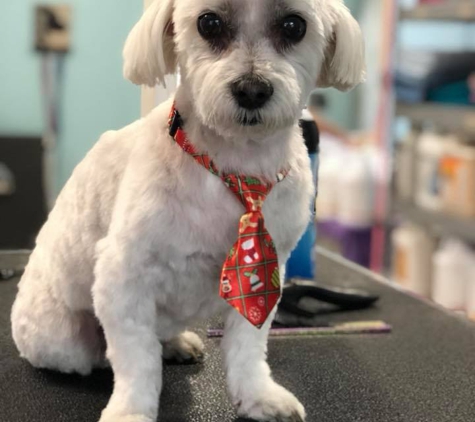 Groomingdales Pet Salon - Placerville, CA