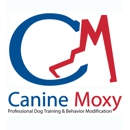 Canine Moxy - Dog Training