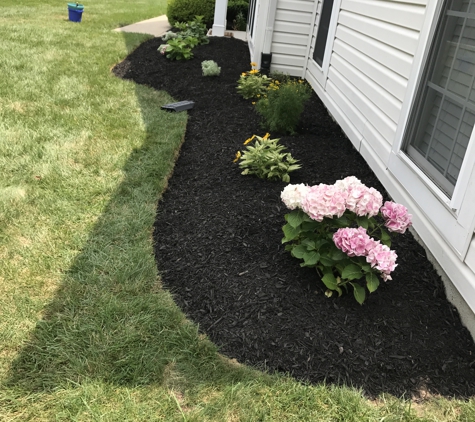 EverGreen Lawn & Landscape Service - New Castle, DE