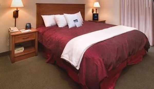 Homewood Suites by Hilton Albuquerque-Journal Center - Albuquerque, NM