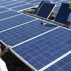 Dana Davis Independent Solar Energy Distributor