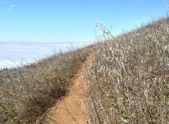 Mount Tamalpais State Park Calif. State Of - Mill Valley, CA