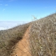 Mount Tamalpais State Park Calif. State Of