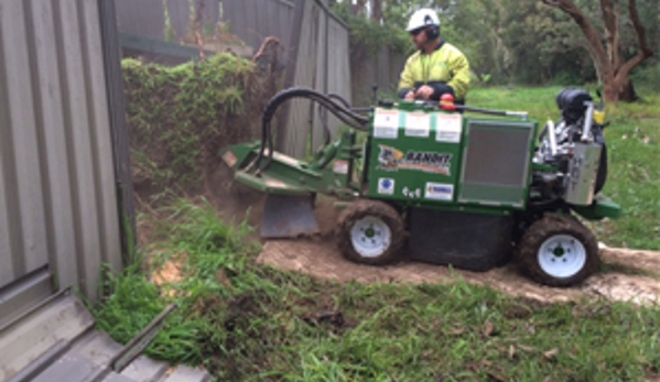 Newcastle Tree Care - Waratah, NSW. Quality service at affordable prices.