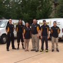 Busy Bee Carpet Steamers - Upholstery Cleaners