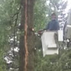 Tri County Tree Service gallery
