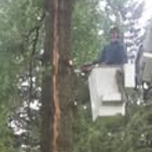 Tri County Tree Service