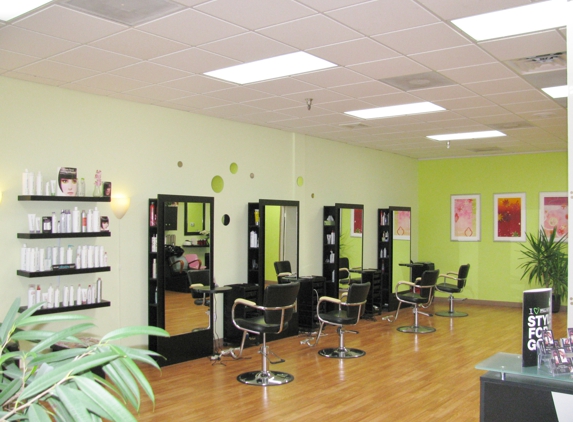 Oxygen Hair Salon - Venice, FL