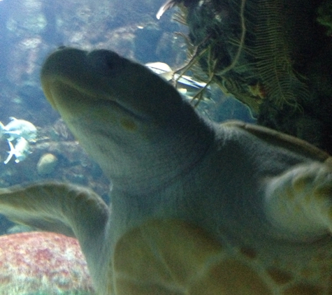 Omaha's Henry Doorly Zoo - Omaha, NE