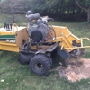 Gator Stump Grinding gallery