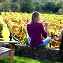 Knight Wine Tours - Tours-Operators & Promoters