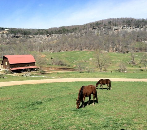 Horseshoe Canyon Ranch - Jasper, AR