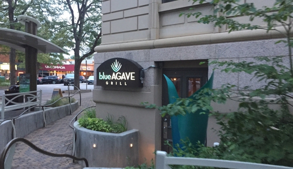 Blue Agave Grill - Fort Collins, CO