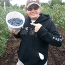 Lake Catherine Blueberries - Farms