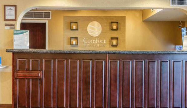 Comfort Inn & Suites Jasper Hwy 78 West - Jasper, AL