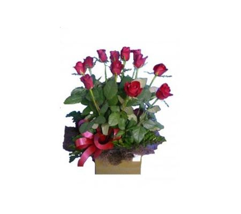 Bunbury Flower Place