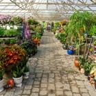 Evans Nursery LLC