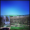 Wood Family Vineyards & Winery gallery