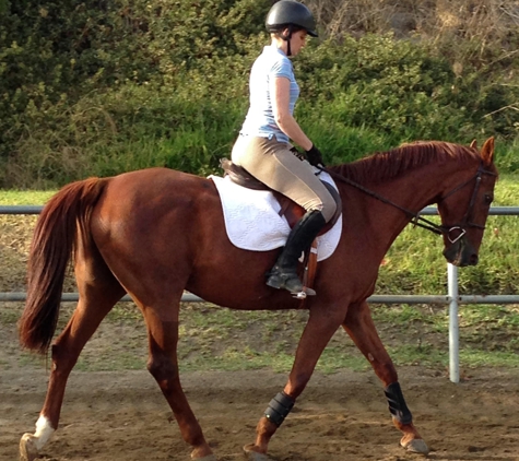 Serrano Creek Riding Academy - Lake Forest, CA