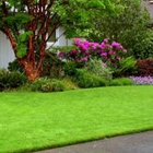 Morris County Lawn Service, LLC