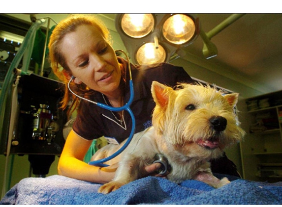 Wynnum Manly Vet Hospital - Wynnum, QLD