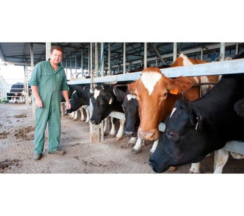 Allora Veterinary Clinic - Allora, QLD