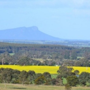 Gallery Image Number 3