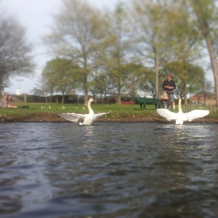 Charles River Canoe & Kayak - Auburndale, MA