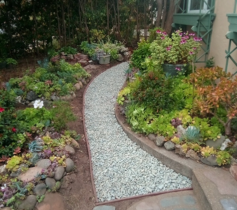 San Mateo Handyman and Plumbing - San Mateo, CA. Rosie's garden in San Mateo (Finished)