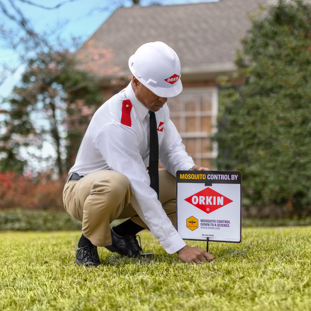 Orkin Pest & Termite Control