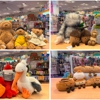 Elephant's Trunk gallery