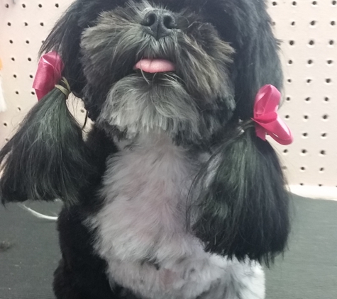 Grooming By Ginny - Cape Canaveral, FL. Pretty in pink!