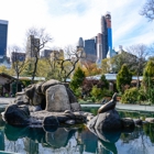 Central Park Zoo