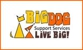 BigDog Support Services Pty Ltd - Disability Services & Support Organisations