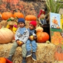 Piedmont Avenue Pumpkin Patch