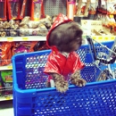 PetSmart - Pet Stores