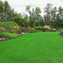 Eagle Lawn Care & Pest Control - Landscaping & Lawn Services