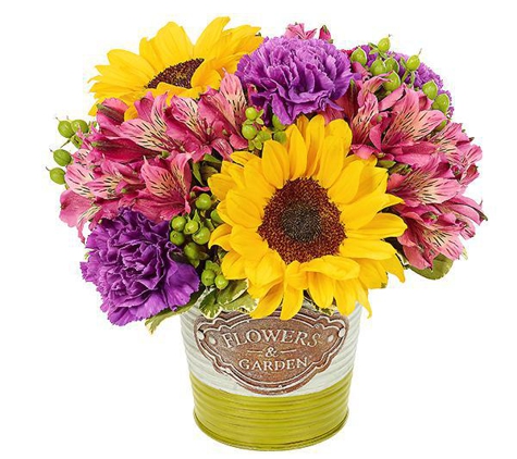 Fresh Bloomers Flowers & Gifts Inc. - Mesa, AZ