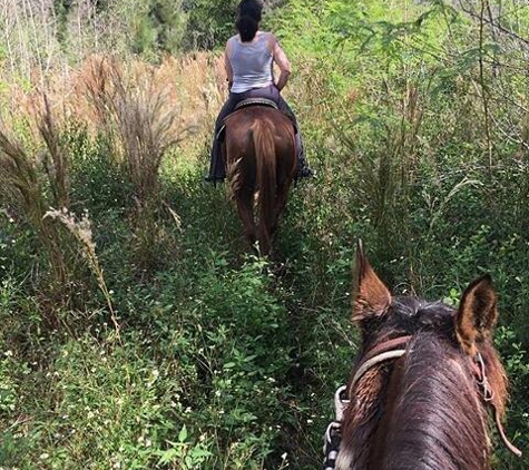 American Horse Trail - Southwest Ranches, FL