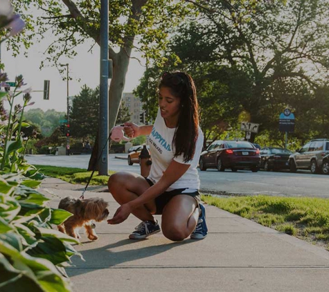 Happytail Dog Walkers - Chicago, IL