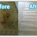 Carpet Cleaner Kingwood - Carpet & Rug Cleaners