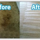 Carpet Cleaner Kingwood