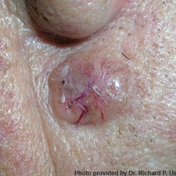 Gallery Image Number 7